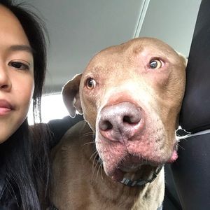 Meet your Posher, Andrea